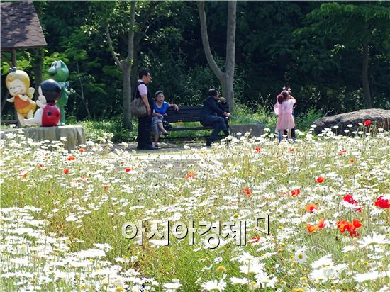 [포토]순백 데이지꽃 향연에 빠진 관광객들