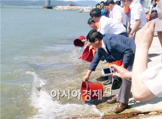 완도군, 수산 우량종묘 매입방류 사업 추진 