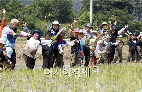 [포토]광주시 북구 석곡동, 모내기 체험행사 실시