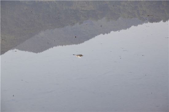 [조문환의평사리日記]거꾸로의 자유