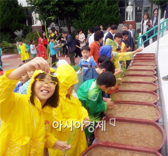 해남군, 부산지역 학교 벼 체험포 설치 ‘호응’
