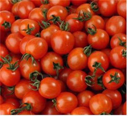 [수상한 채솟값]토마토 값, 전년비 2배 '껑충'…작황 부진 영향