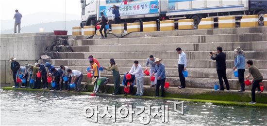 장흥군(군수 김 성)에서는 기후변화와 바다오염 등으로 감소되고 있는수산자원 증강을 위해 지난 15일 감성돔 23만미를 해양낚시공원에 방류하는 행사를 가졌다