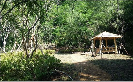 화순 자애원, 녹색공간으로 탈바꿈