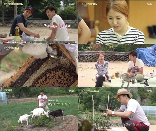 '삼시세끼' 보아 '민낯'에 시청률 ↑…'최고 11.5%'