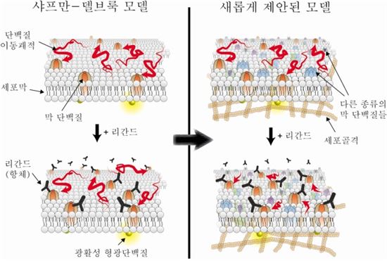 현미경 신약물질 1차 선별…60만→3천원으로 낮췄다