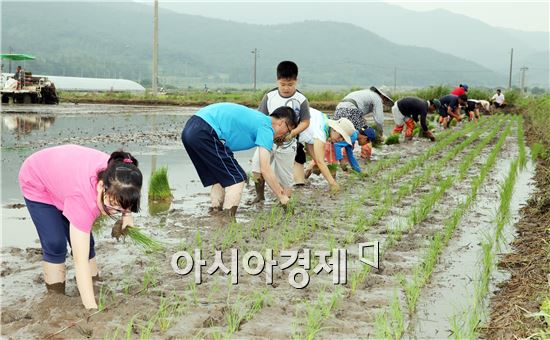 장흥군진보연대(대표 이기호)는 지난 20일 관산읍 남송리에서 통일쌀 경작지 모내기 행사를 개최했다.
