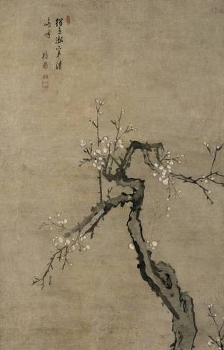 김홍도, 백매(白梅)

