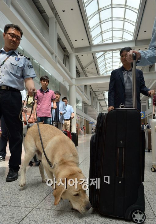 [포토]'마약을 찾아라'