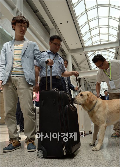 [포토]'마약을 찾아라'