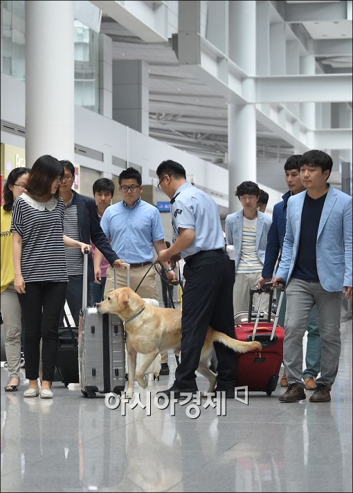 [포토]"마약을 찾았다"
