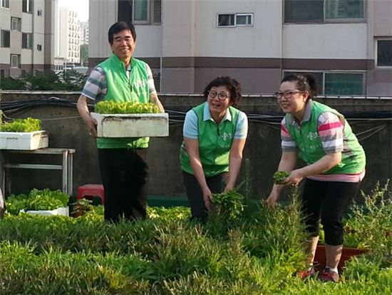 아파트 옥상 상자텃밭