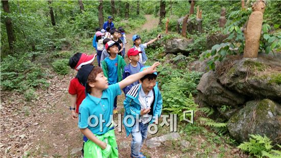 곡성 섬진강 도깨비마을, 유아숲 체험원 등록 제 1호 기관