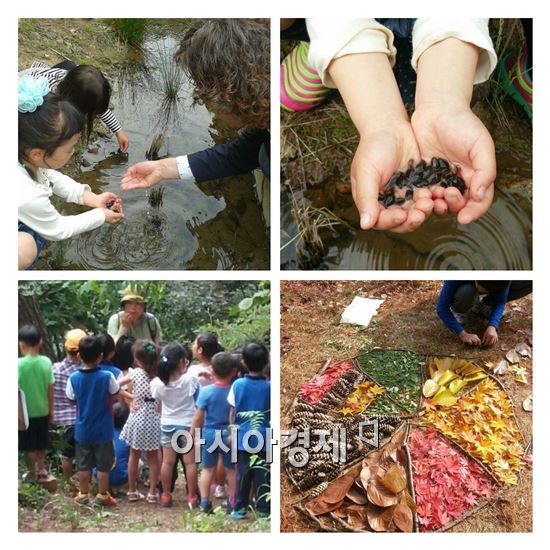 곡성 섬진강 도깨비마을, 유아숲 체험원 등록 제 1호 기관