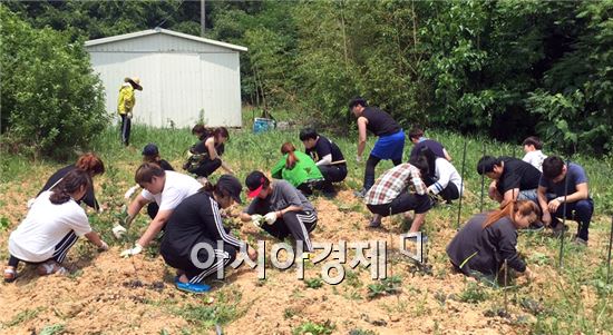 호남대 복합리조트사업단, 무안 지역봉사활동 ‘로컬챌린지’