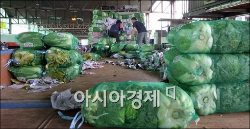 [포토]배추값 급등에 힘들어진 상인들