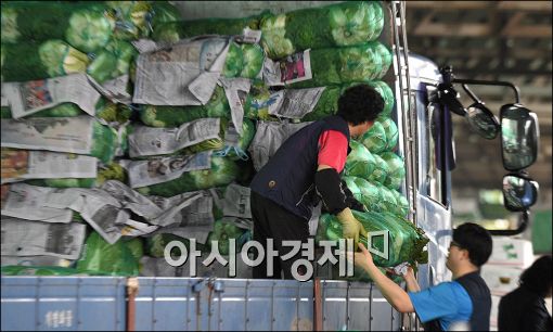 [포토]배추 옮기는 상인들