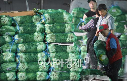 [포토]배추 옮기는 상인들