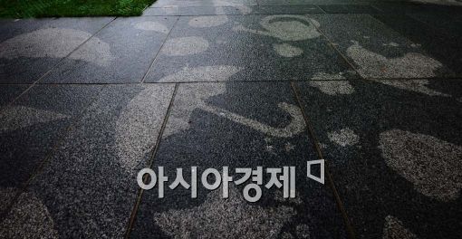 [포토]비가 내리면 나타난다 