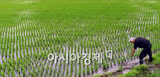 [포토]'한 방울의 물이라도....'