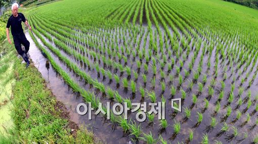 [포토]모처럼 단비....'단 한 방울의 물이라도...'