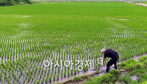 [포토]모처럼 반가운 비