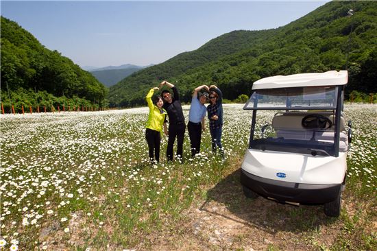 해발 1340m 꽃천지, 향기로운 강원랜드