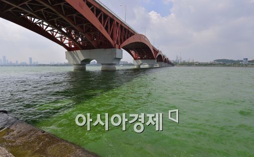 한강 하류 조류경보 확대…조류농도 '신기록' 또 경신
