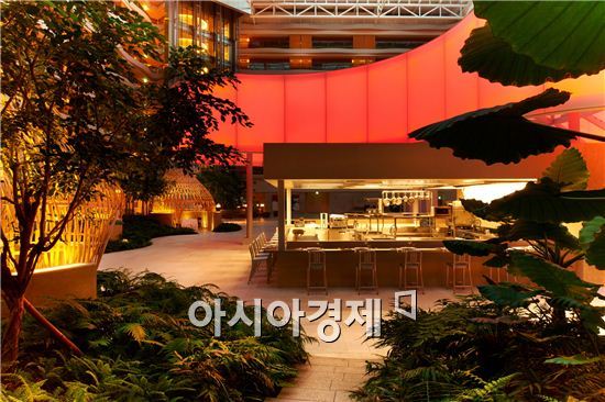 제주도, 지금 떠나라 