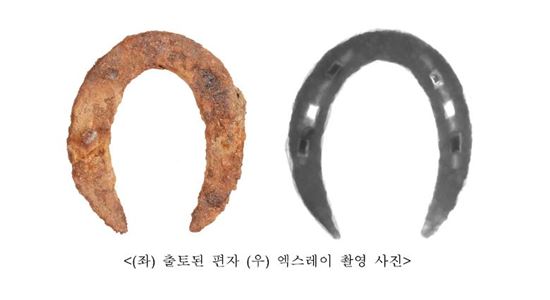 호남 가야계 고분 '말뼈와 편자' 발견…'순장 풍습'