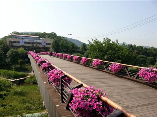 양재천 주말 Early-Bird(이른 아침) 야외 갤러리