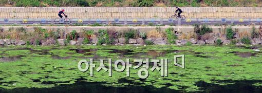 서울시, 한강 녹조현상 선제적 대응 나선다