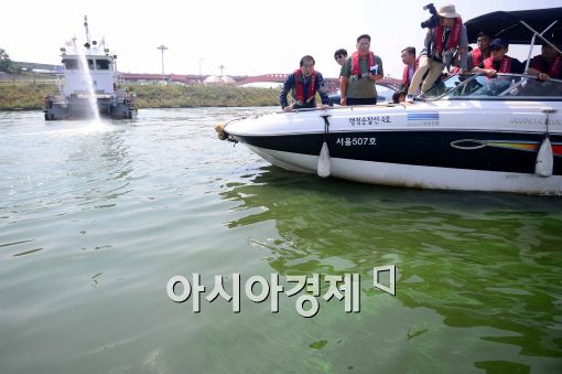 파죽지세 한강 녹조…환경재앙 우려