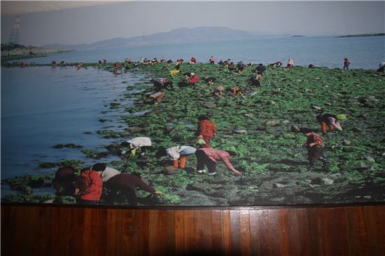 여수경찰서, 유치장 벽에 힐링사진 붙여 ‘호응’