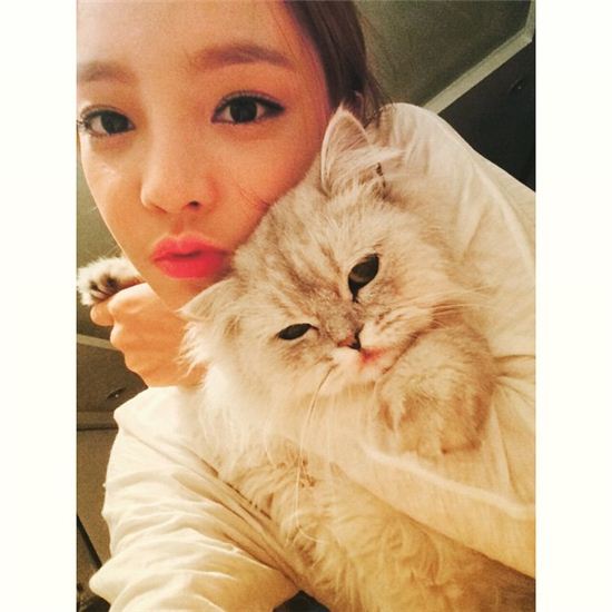 구하라, 고양이와 함께한 일상 공개 "인형 미모"