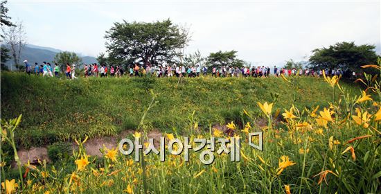 구례군, 2015 원추리꽃길 건강걷기 행사 개최