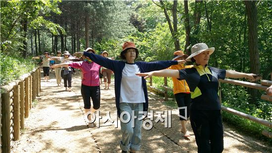 ▲청계산 서울대공원 숲 산림치유 프로그램에 참여중인 시민들 (사진=서울시)