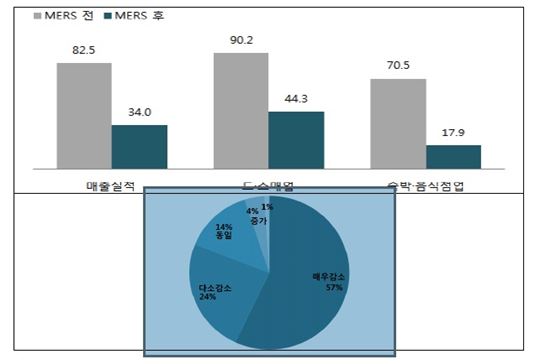 메르스 사태로 서울 소기업·소상공인 매출 60% 폭락