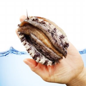 전복이 삼계탕 제쳤다…보양식 챙겨 먹는 2030 '껑충'