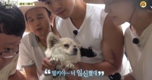 '삼시세끼' 공식 마스코트 밍키 임신 소식에 이서진 하는 말이…