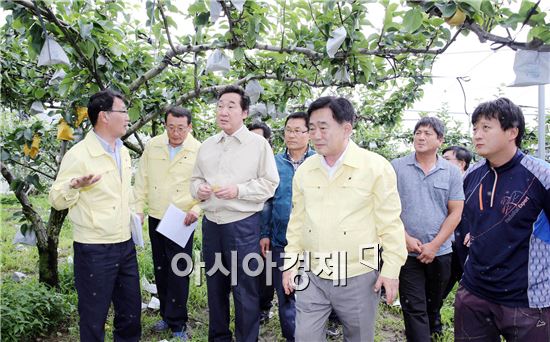 [포토]이낙연 전남도지사, 배 낙과 피해농가 방문