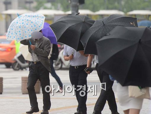 [포토]바람아 멈추어다오 