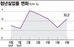 [청년고용대책]일자리기회 20만개 확대...고용률 1.8%P 높인다