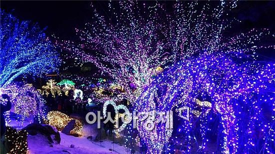 아침고요수목원 별빛축제
