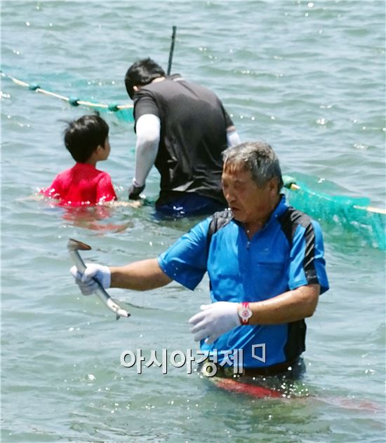 17일 개장한 함평군 함평읍 돌머리해변에서 뱀장어 잡기 체험행사가 열렸다. 체험행사에 참여한  한 관광객이  뱀장어를 잡고있다. 

돌머리해변은 오는 8월16일까지 운영되며, 뱀장어잡기 체험행사는 8월1일과 15일에도 열릴 예정이다.