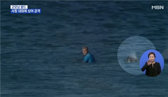 세계 서핑 챔피언, 식인상어 공격에도 '멀쩡'…어떻게 탈출?