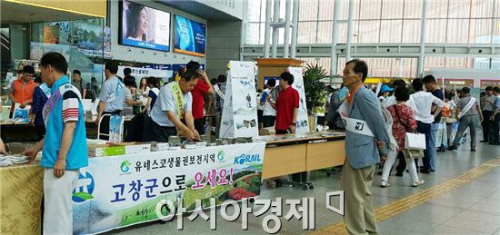 고창군 국내관광 활성화 공동캠페인 참여