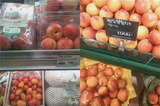 유기농식품 비싸도 너무 비싸…일반식품과 최대 4배 차