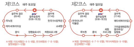 담양군은 여름 휴가철을 맞아 국내여행 관광인프라 확충과 활성화를 위해 문화체육관광부와 한국관광공사, 코레일이 함께 ‘기차-시티투어’ 홍보 캠페인을 펼쳐 큰 호응을 얻었다고 24일 밝혔다. 사진=담양군