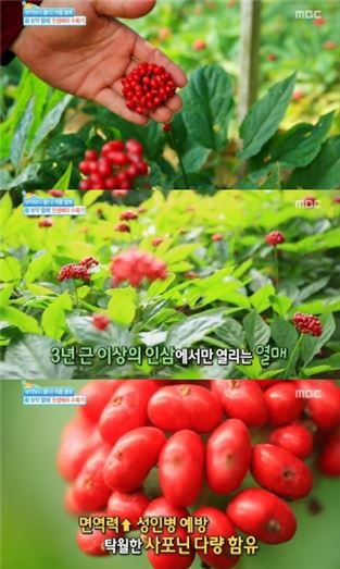 진생베리. 사진=MBC '기분 좋은 날' 캡처